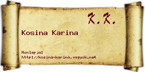 Kosina Karina névjegykártya